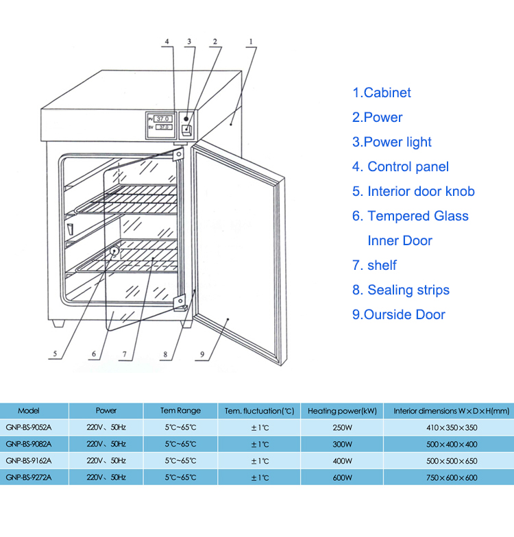GNP9272A ConstantTemperature Incubator Lab Incubator GNP9272A